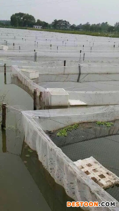 江海渔网       水蛭网箱 水蛭网箱厂家 养殖设备