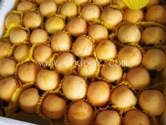 枇杷苗哪里买-枇杷苗-岗峰农场——绿色生态(查看)