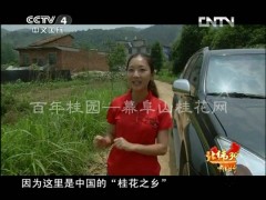 CCTV《远方的家》栏目组走进桂花之乡，走进宇琦