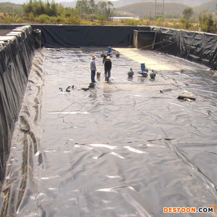 黄鳝养殖专用膜泥鳅养殖专用膜塑料膜塑料布