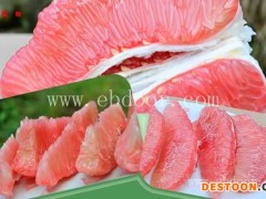 黄冈柑橘树苗-柑橘树苗批发市场-湖北果茶所(推荐商家)