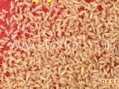 淄博人工金蝉卵枝出售量大从优“本信息长期有效”