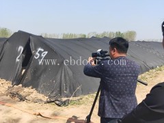 羊肚菌-鸿福羊肚菌的种植-羊肚菌价格多少钱一斤