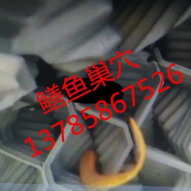 湖北孝感养黄鳝蜂巢  PVC塑胶黄鳝养殖巢价格  1000×500鳝巢价格【华强】