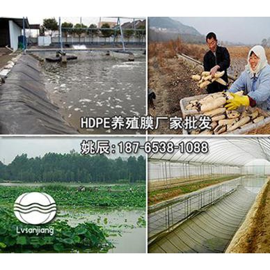 泥鳅养殖专用膜批发