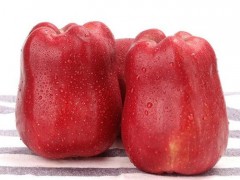 饶阳恒发 冷库批发 红苹果 新鲜水果  苹果  新鲜花牛苹果 花牛 品种齐全