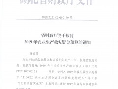 鄂财农发【2019】90号省财政厅关于拨付2019年农业消费救灾资金预算的通知-襄阳晋中市农业农村局