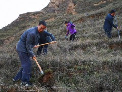 平凉市农科院积极开展秋季义务植树工程整修工作
