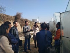 平凉市农业农村局开展全平凉市农产品质量安全专项整治督导检查