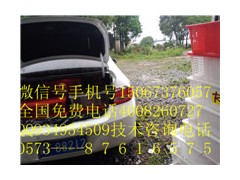 肉兔养殖视频肉兔养殖商品兔批发