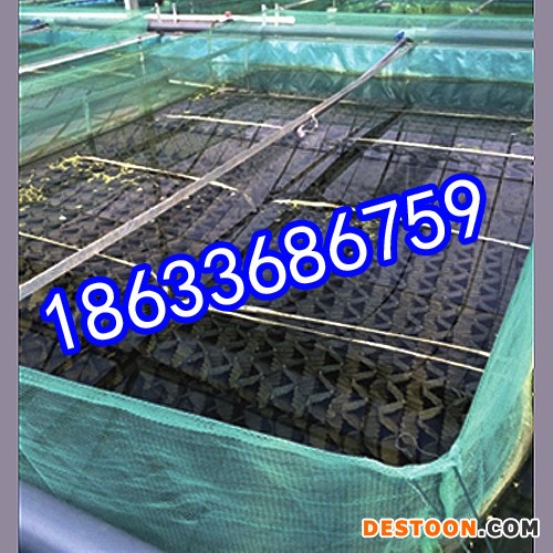 养殖黄鳝用的鳝巢哪有卖的 塑料巢怎么卖的 养殖黄鳝塑料蜂窝巢                养殖黄鳝用的鳝巢哪