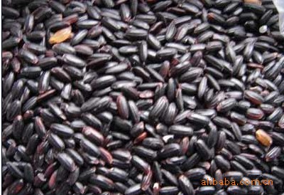 黑米 血糯米  大米  黑色食品   黑色杂粮 营养食品 有机食品