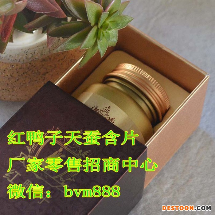 红鸭子天蚕含片厂家直销 红鸭子含片官方网站