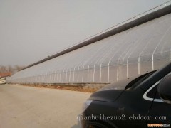 湖北花卉温室大棚|花卉温室大棚价格范围