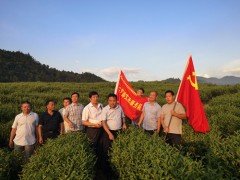 市农粮局党委第三支部展开农业产业结构调整调研党员主题活动