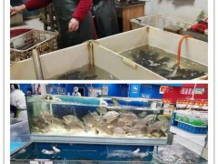 晋中市水产中心：疫情下的水产人-襄阳晋中市农业农村局