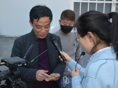 安康：线上指点云端送技，农技培训为产业展开助力