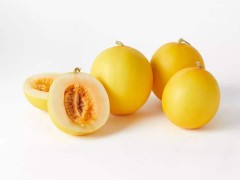 黄金瓜 - 株洲特产