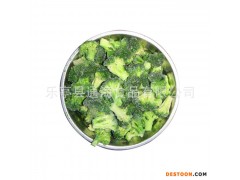 批发速冻西兰花 速冻蔬菜 绿色绿色蔬菜优质新鲜冷冻西兰花