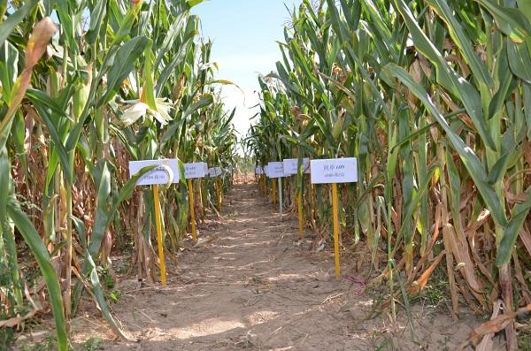 图片2.jpg 图片2.jpg