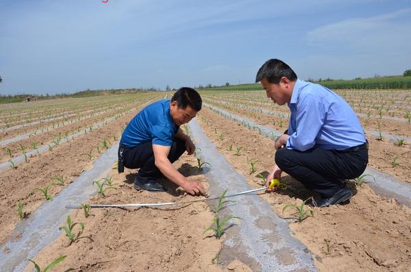 图片1.jpg 图片1.jpg