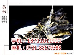 安化百两茶哪里批发_黑茶批发团购_湖南省香木海茶业有限公司