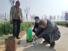 合阳：县农技中心组织实施小麦叶面喷肥实验