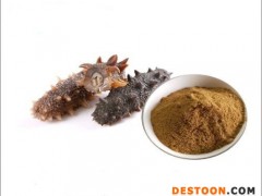 供应 海参提取物 海参冻干粉99% 海参蛋白 现货直销价格