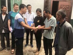 一枝一叶总关情