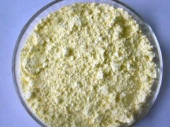 泰安00  海参提取物 50% 海参蛋白粉 海参多糖 现货供应