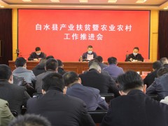 白水：县召开产业扶贫暨农业农村义务推进会