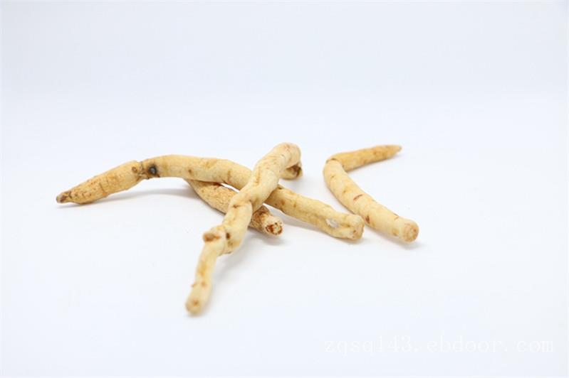 沙参市场行情|物超所值的沙参推荐