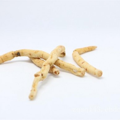 沙参市场行情|物超所值的沙参推荐