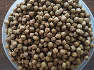 草鱼饲料_草鱼饲料价格_草鱼饲料厂家_众丰水产科技