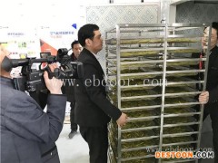 国信机械(图)-黄花菜烘干机械温度-黄花菜烘干机械