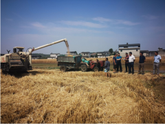 强化农机作业安全反省 确保“双抢”时期农业安全消费