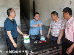 防控、攻坚两不误,鹤壁市畜牧技术推行站内行动_达州鹤壁市农业农村局