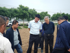 省厅督导反省我沧州市农田建立项目任务