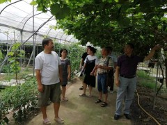 怀化市开展农产品质量安全监督巡查工作