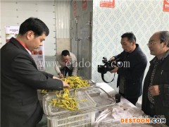 黄花菜干燥箱报价-河南国信机械(在线咨询)-黄花菜干燥箱