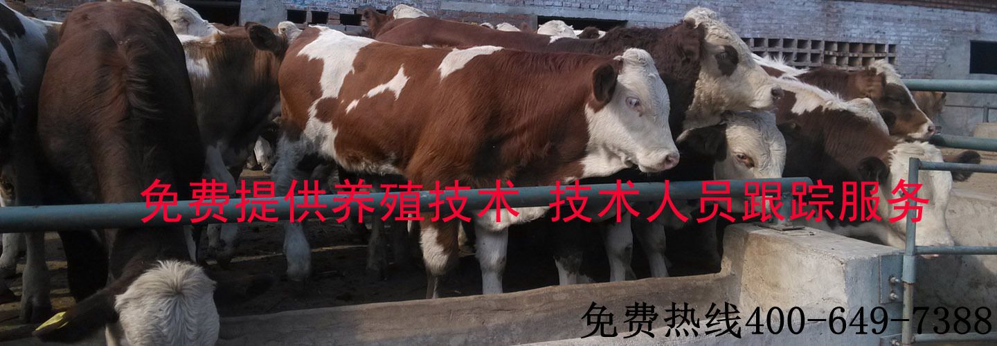 1823381326_1677314119