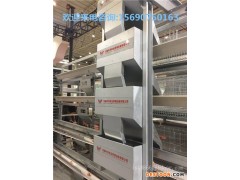 中州牧业厂家专业生产设计 阶梯式层叠式蛋鸡笼