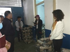 鹤壁市农科所组织全体职工展开课题观摩