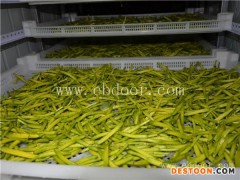 黄花菜烘干房加工量-黄花菜烘干房-河南国信机械(查看)