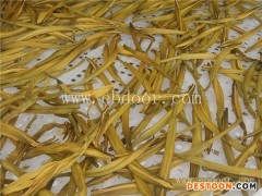 黄花菜烘干机-国信机械-网带式黄花菜烘干机