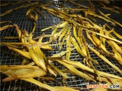 黄花菜干燥机能耗-河南国信机械(在线咨询)-黄花菜干燥机