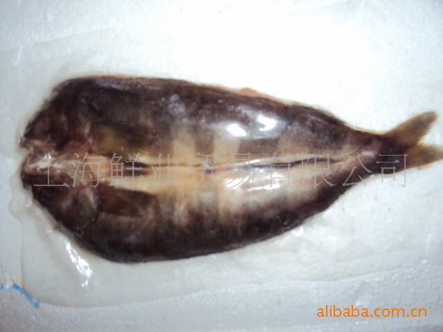 供应开片鱼〔六线鱼〕(图)进口水产品