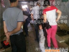 温州大学生创业大学生创业项目品牌企业