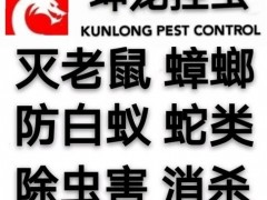 赣州灭蟑螂公司,赣州杀蟑螂公司,赣州除蟑螂公司