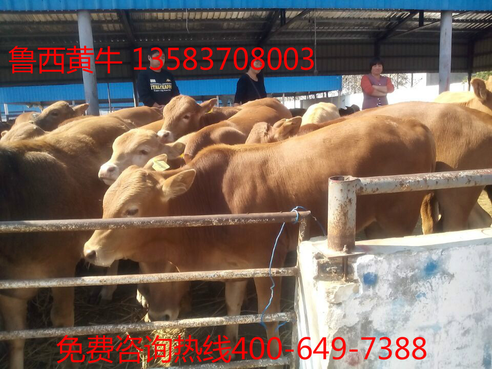 QQ图片20150307112308